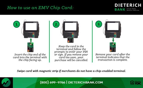 How to use chip reader step by step