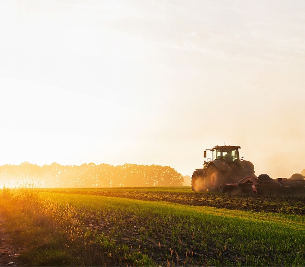Tractor is discing a field with the sunset in front of it.